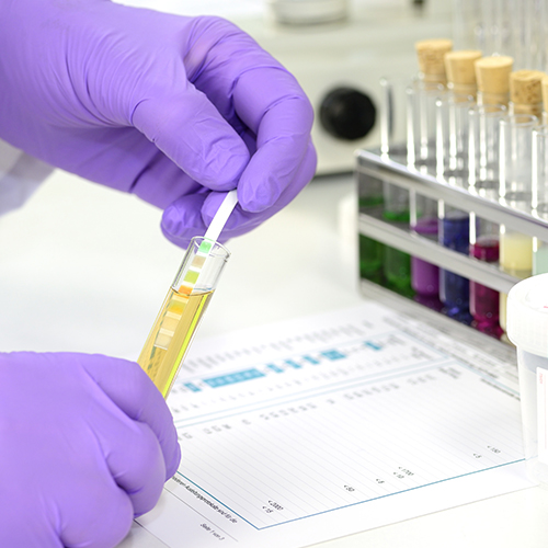 DOT Drug Test 247 Labs