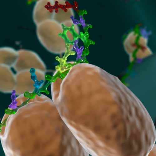 Tampa Thyroglobulin Test TGB Tests 24/7 Labs