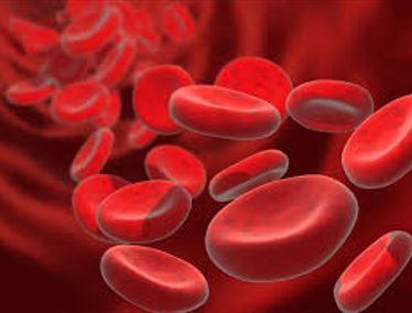 Read more about the article Everything You Never Knew about Anemia