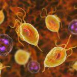 Signs You Have Contracted a Common STD