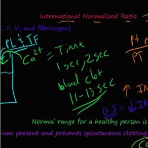 Prothrombin Time & International Normalized Ratio (PT/INR)