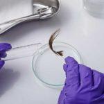 Hair 10 Panel Drug Test